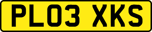 PL03XKS