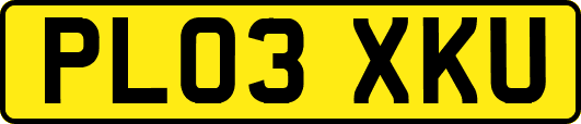 PL03XKU