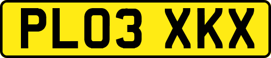 PL03XKX