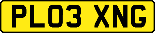 PL03XNG