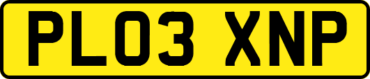 PL03XNP