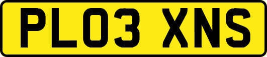 PL03XNS