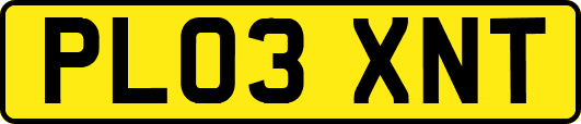 PL03XNT
