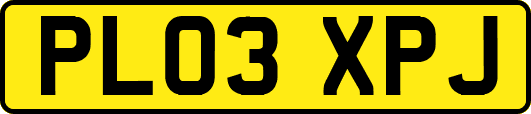 PL03XPJ