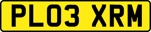 PL03XRM