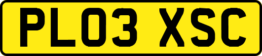 PL03XSC