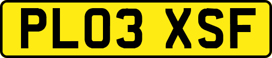 PL03XSF