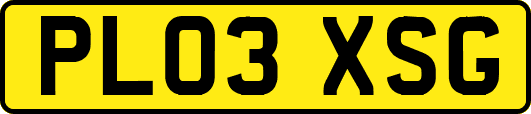 PL03XSG