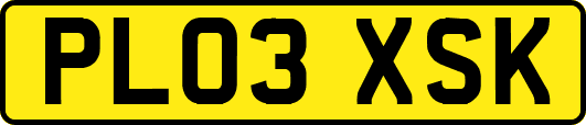 PL03XSK