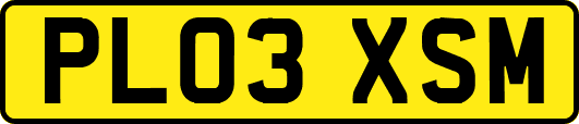PL03XSM