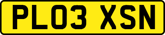 PL03XSN