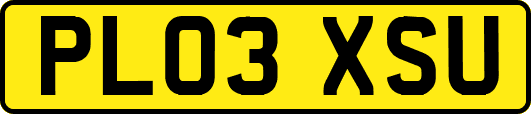 PL03XSU