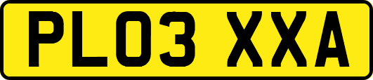 PL03XXA