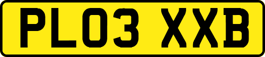 PL03XXB