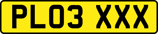 PL03XXX