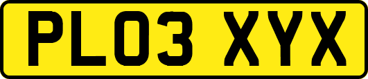 PL03XYX