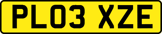 PL03XZE