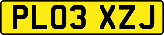 PL03XZJ