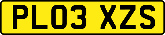 PL03XZS