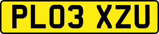 PL03XZU