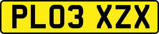 PL03XZX