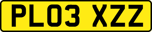 PL03XZZ