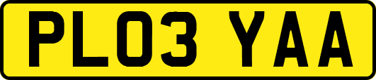 PL03YAA