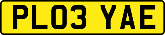 PL03YAE