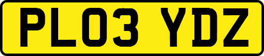 PL03YDZ