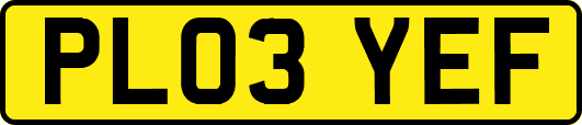 PL03YEF