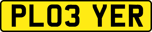 PL03YER