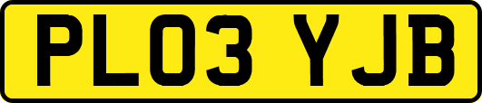 PL03YJB