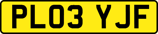 PL03YJF