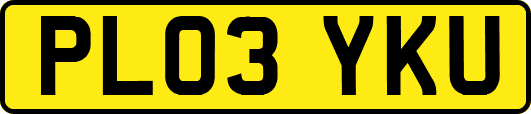 PL03YKU