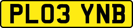 PL03YNB