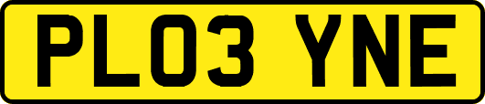 PL03YNE