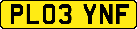 PL03YNF