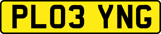 PL03YNG