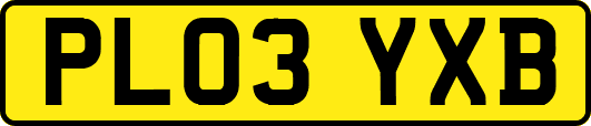 PL03YXB
