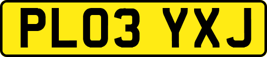 PL03YXJ