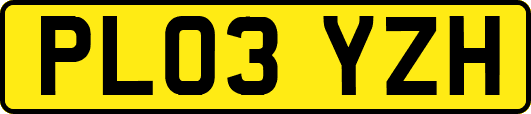 PL03YZH