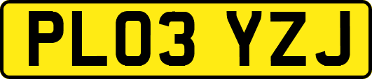 PL03YZJ