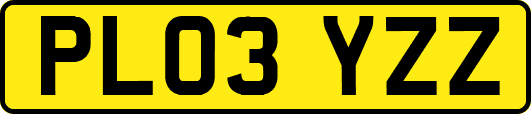 PL03YZZ