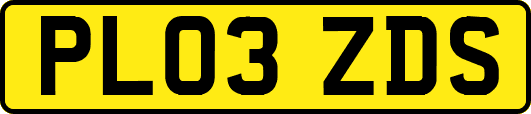 PL03ZDS
