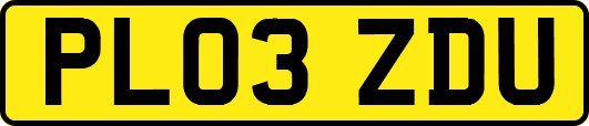 PL03ZDU