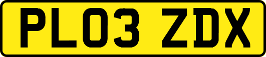 PL03ZDX