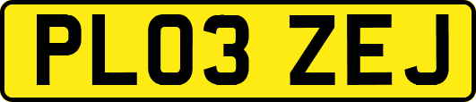 PL03ZEJ