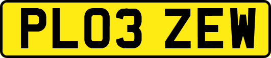 PL03ZEW