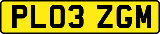 PL03ZGM