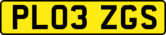 PL03ZGS